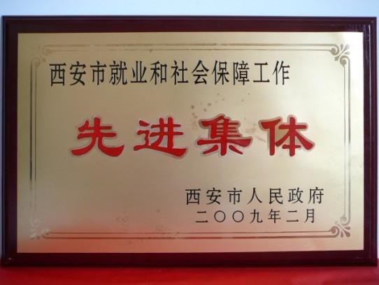 2009年2月，被西安市当驹炖为西安市就业和社会保险工作先进集体