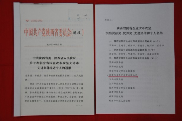 2009年2月，被陕西省委、省敌灾授予陕西省国有企业鼎新攻坚先进集体